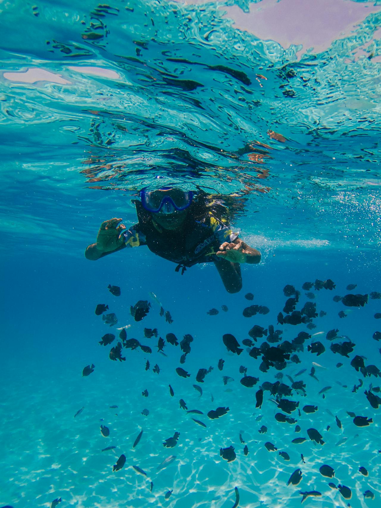 Marine Life